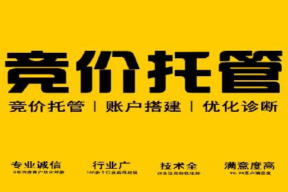 竞价托管助力sem推广：成功案例解析与启示